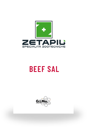 Zeta Beef Sal