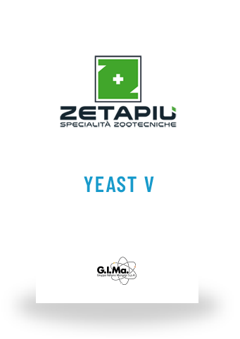 Zeta Yeast V