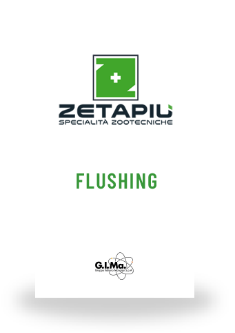 Zeta Flushing