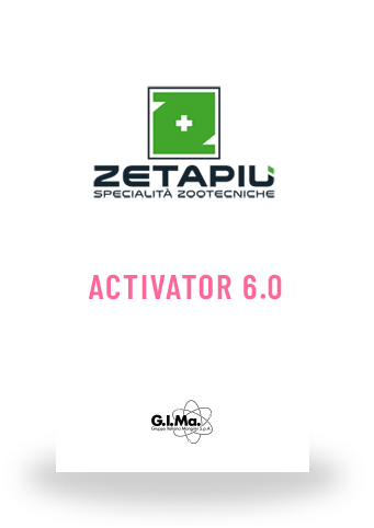 Zeta Activator 6.0